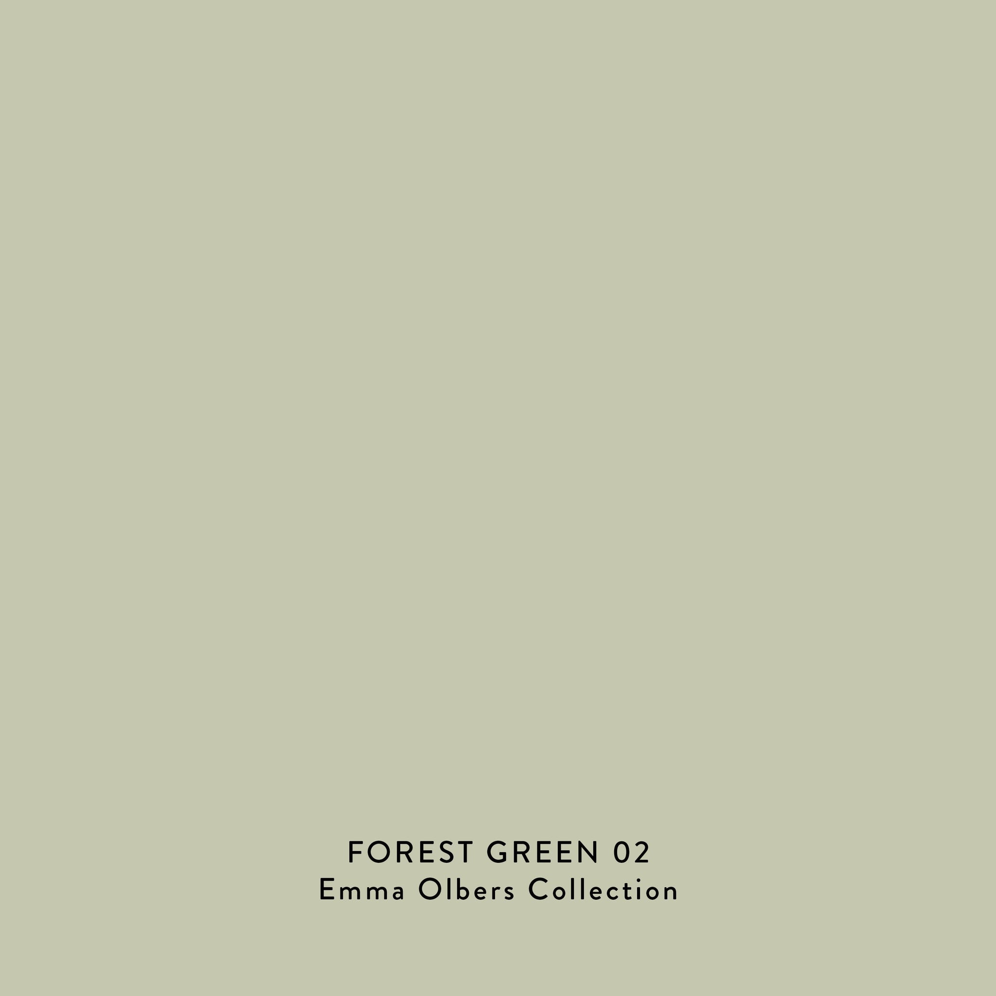 Väggfärg Forest Green 02