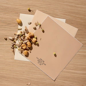 Väggfärg Nougat 03