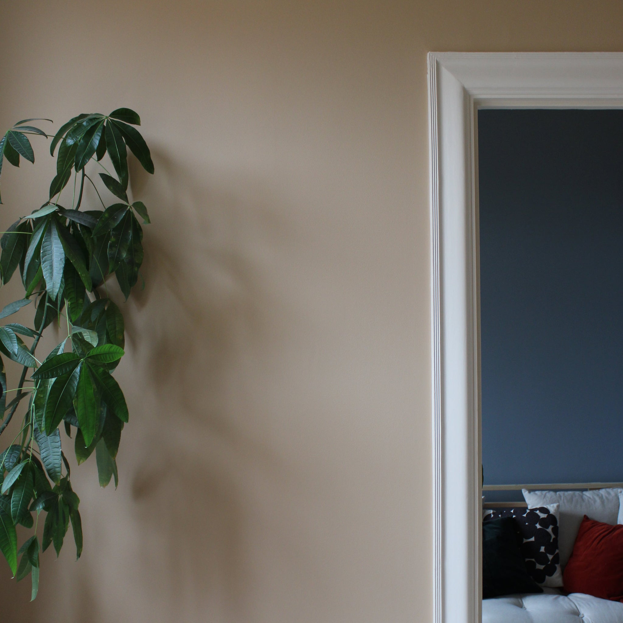 Väggfärg Nougat 02