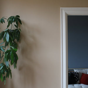 Väggfärg Nougat 02