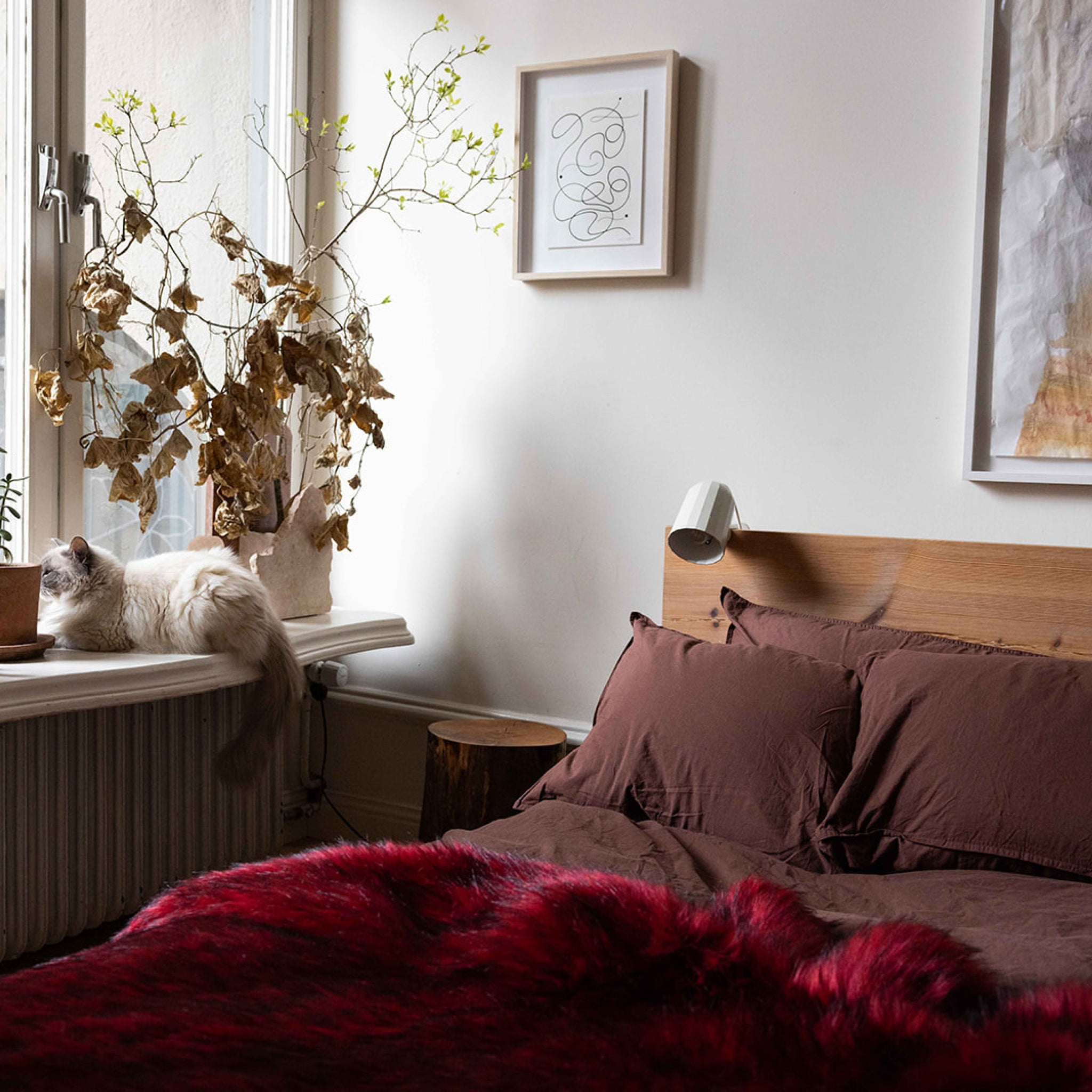 Väggfärg Vanilla 01